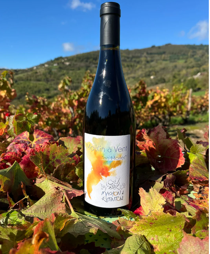 Rouge ou blanc, chaque cuvée naît de nos mains, de notre sol et de nos choix. On ne fait pas du vin pour impressionner, on le fait pour qu’il rassemble.